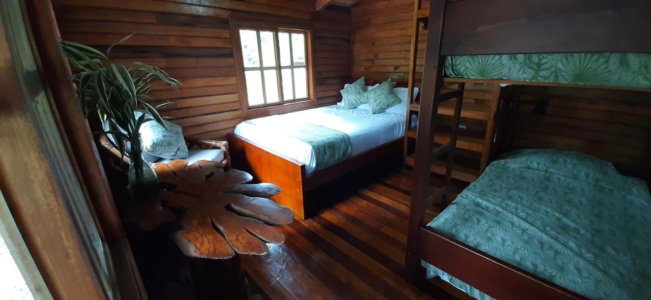 Guest House Great Hostels Amazon Puyo Esterno foto