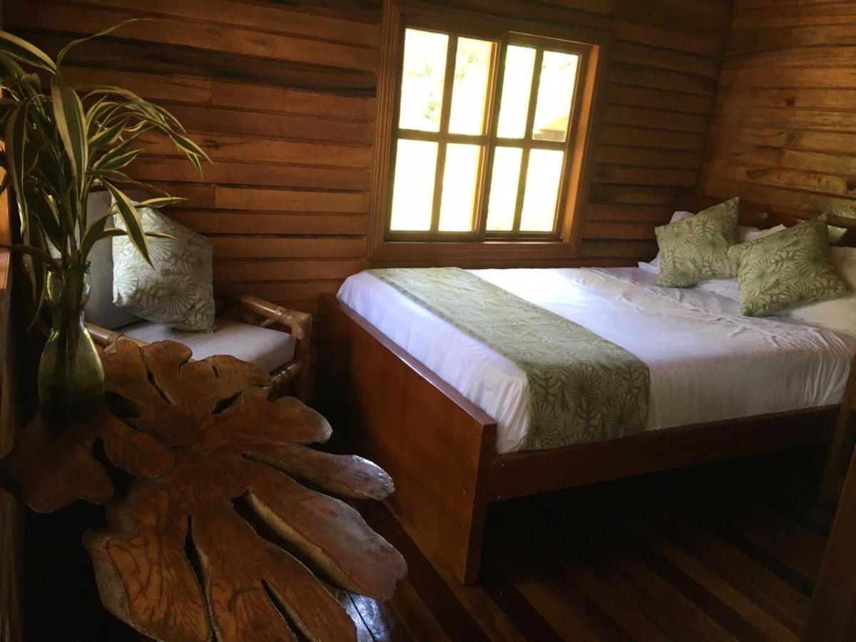 Guest House Great Hostels Amazon Puyo Esterno foto