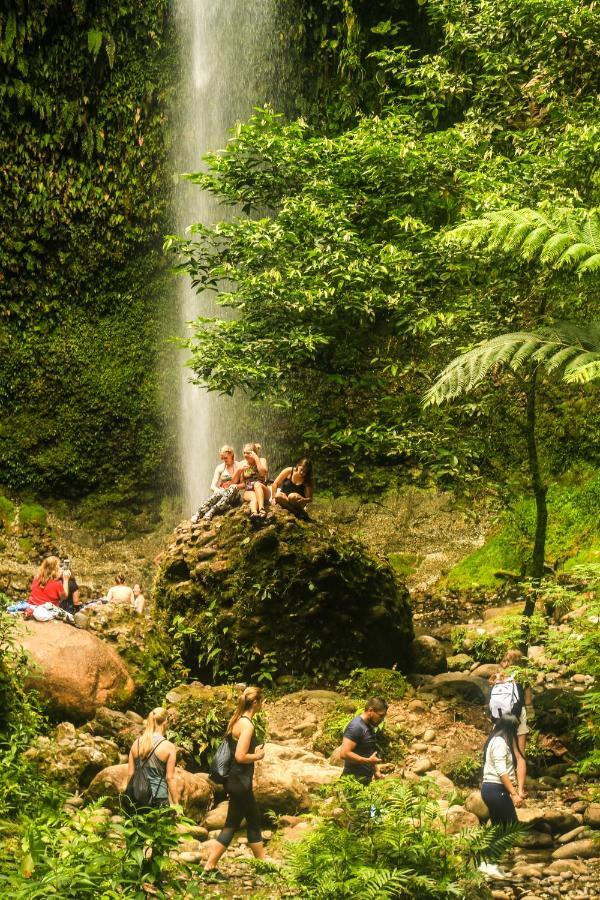 Guest House Great Hostels Amazon Puyo Esterno foto